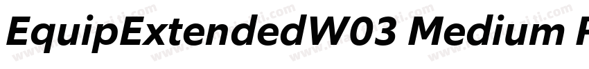 EquipExtendedW03 Medium Regular字体转换